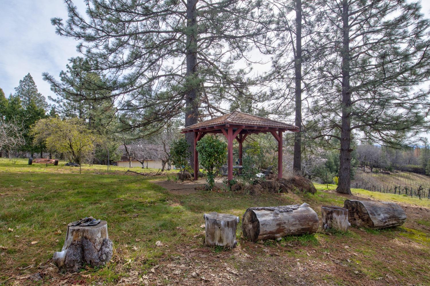 4771 Greenhills Road Placerville, CA 95667 - Photo 39 of 71 a view of a backyard with large trees