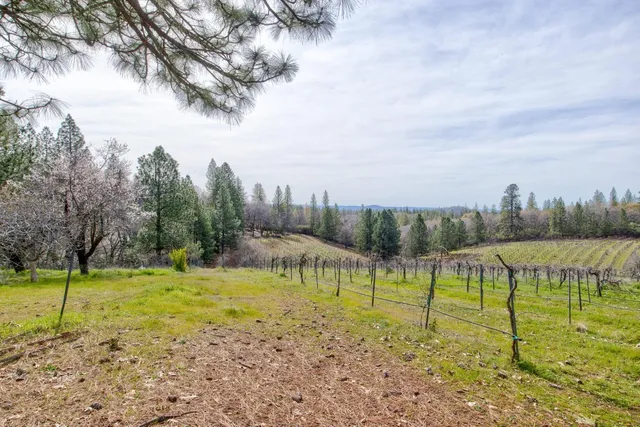 a view of a large body of water with a building in the background