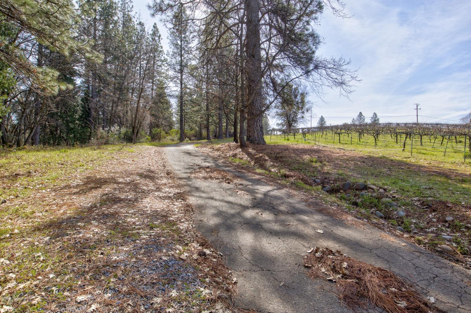 4771 Greenhills Road Placerville, CA 95667 - Photo 44 of 71