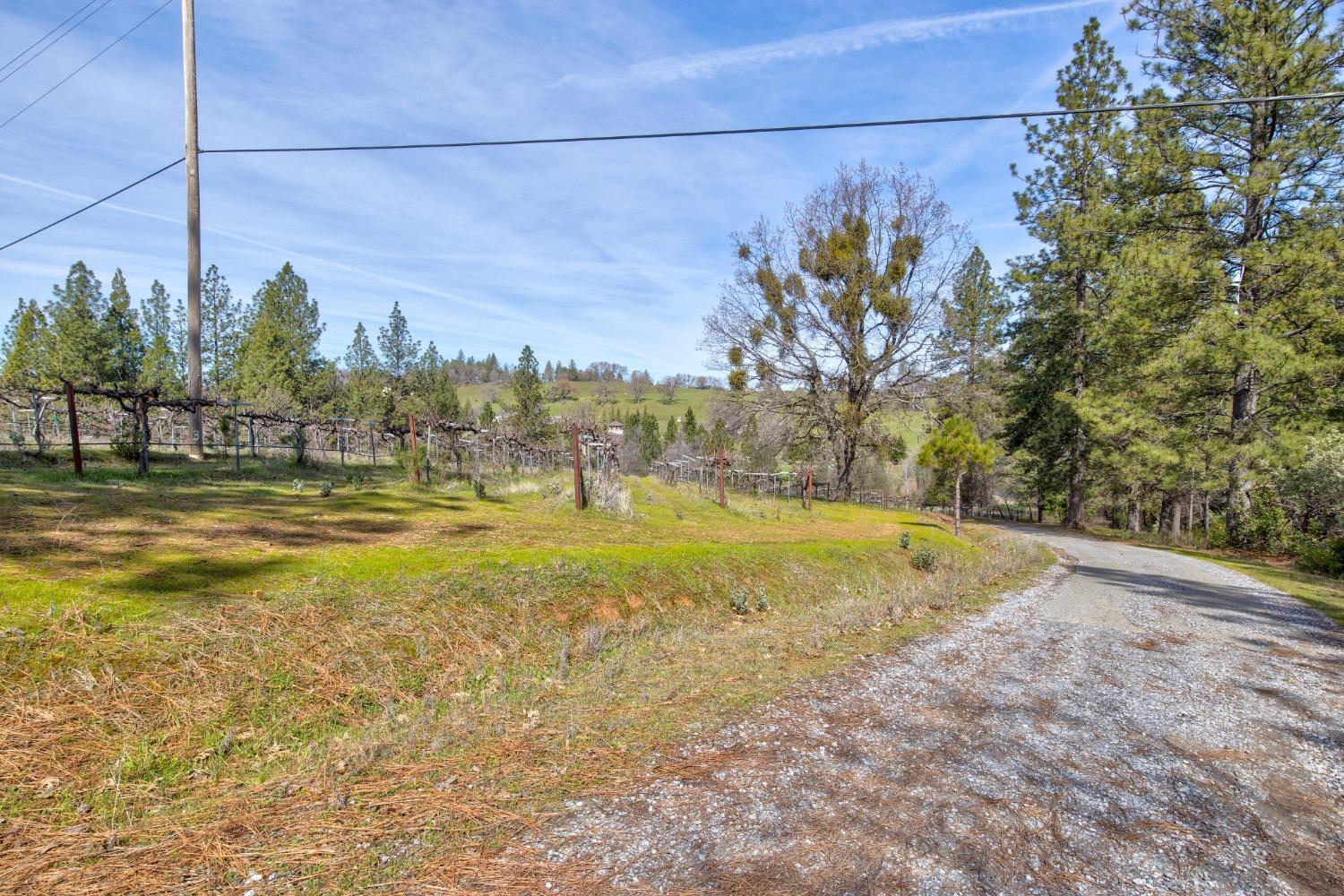 4771 Greenhills Road Placerville, CA 95667 - Photo 46 of 71 a view of a swimming pool with an outdoor space and seating area