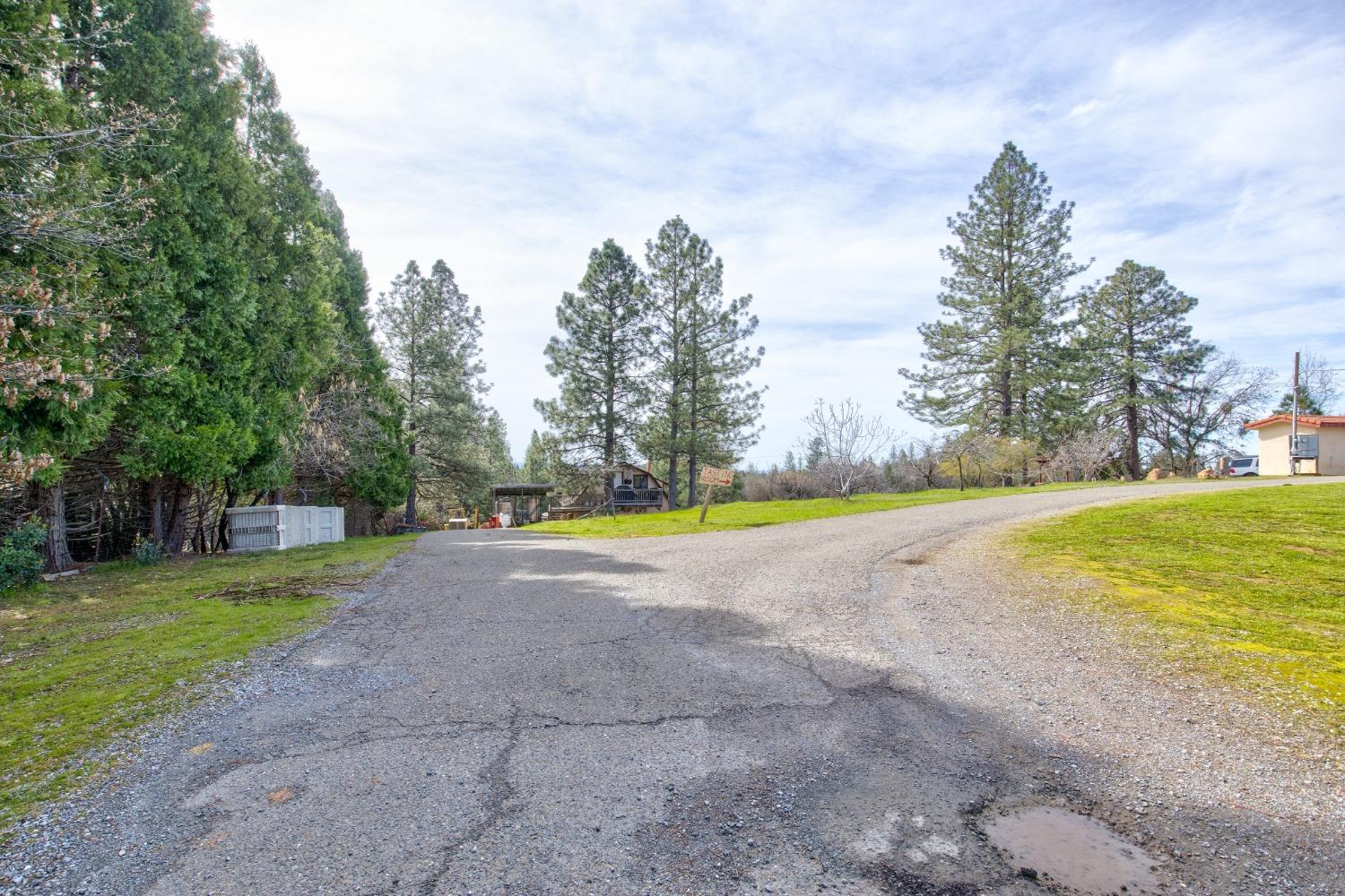 4771 Greenhills Road Placerville, CA 95667 - Photo 48 of 71 a view of a swimming pool with a yard