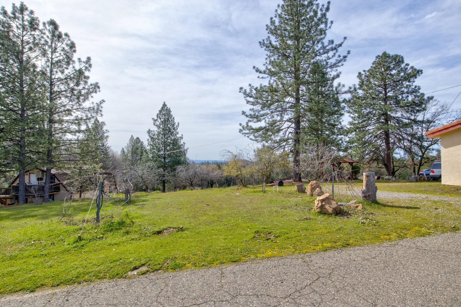 4771 Greenhills Road Placerville, CA 95667 - Photo 52 of 71 a view of a park with large trees