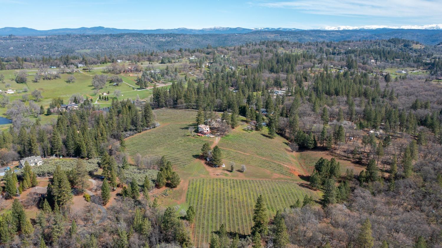 4771 Greenhills Road Placerville, CA 95667 - Photo 61 of 71 an aerial view of a house with a yard