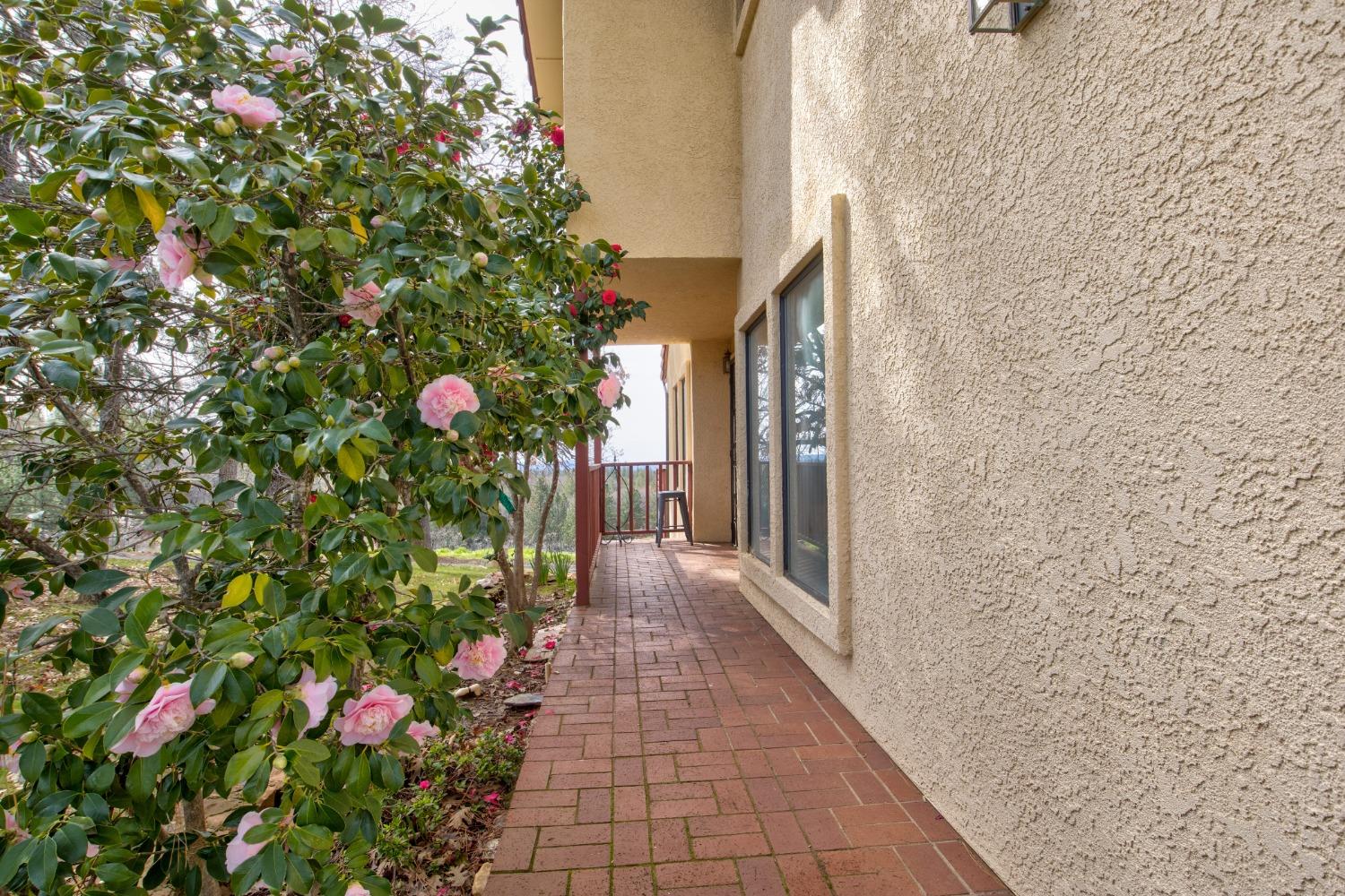 4771 Greenhills Road Placerville, CA 95667 - Photo 10 of 71