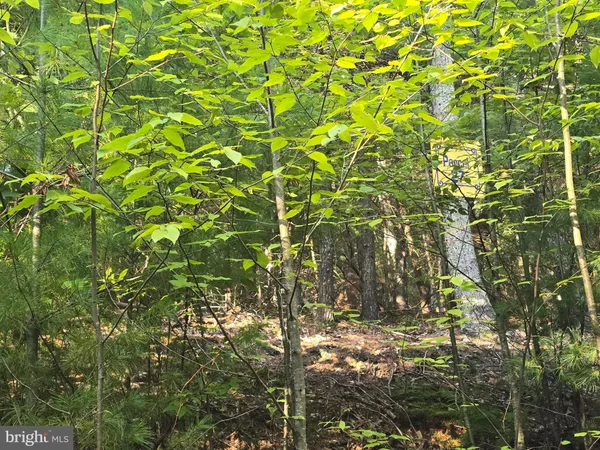 $35,000 | Lot 27 Native Trout Lane, Sugar Grove, WV 26815