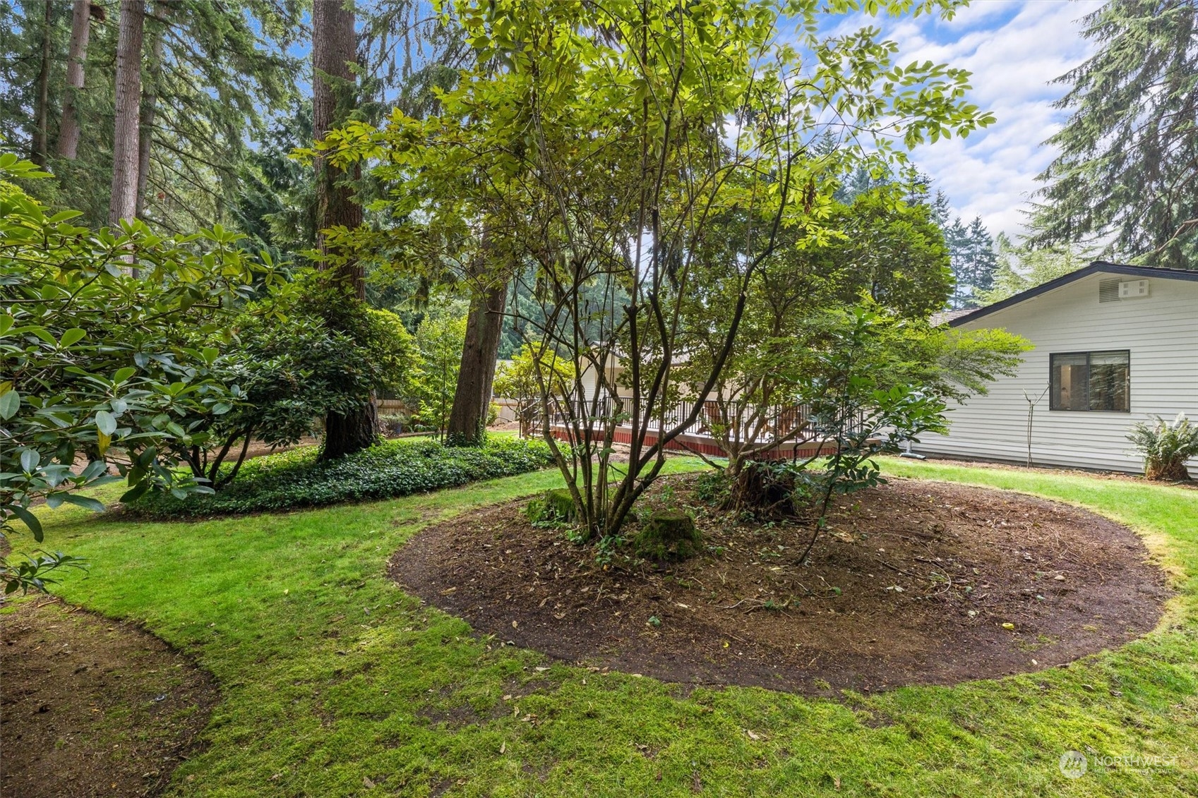 17631 7th Avenue West Bothell, WA 98012 - Photo 32 of 38 a view of a yard with plants and trees