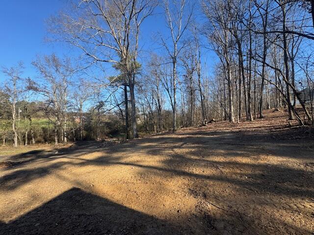 3580 Keith Vly Road Northeast Cohutta, GA 30710 - Photo 9 of 9 IMG_5149