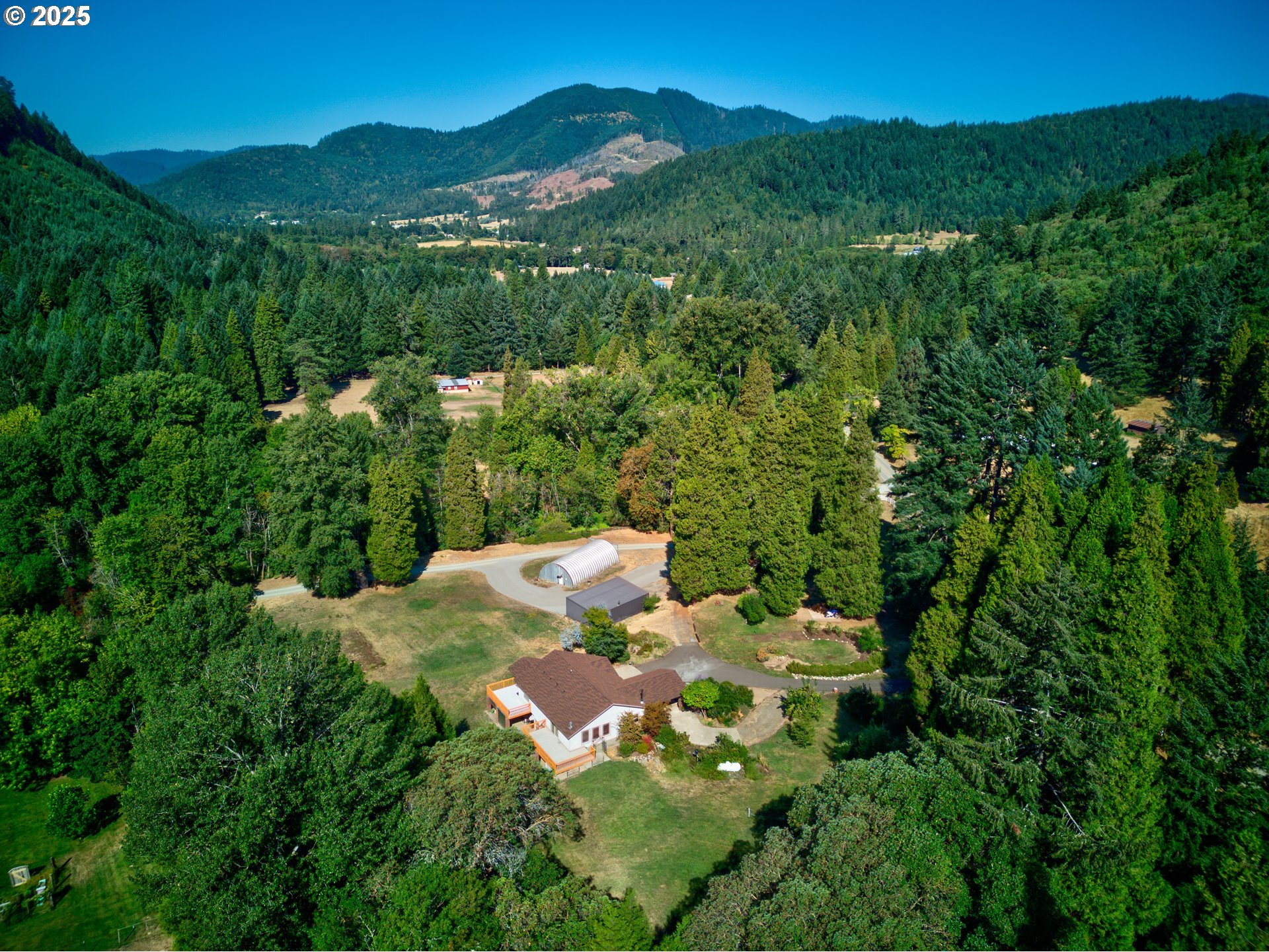 a view of a lush green forest with trees in the background