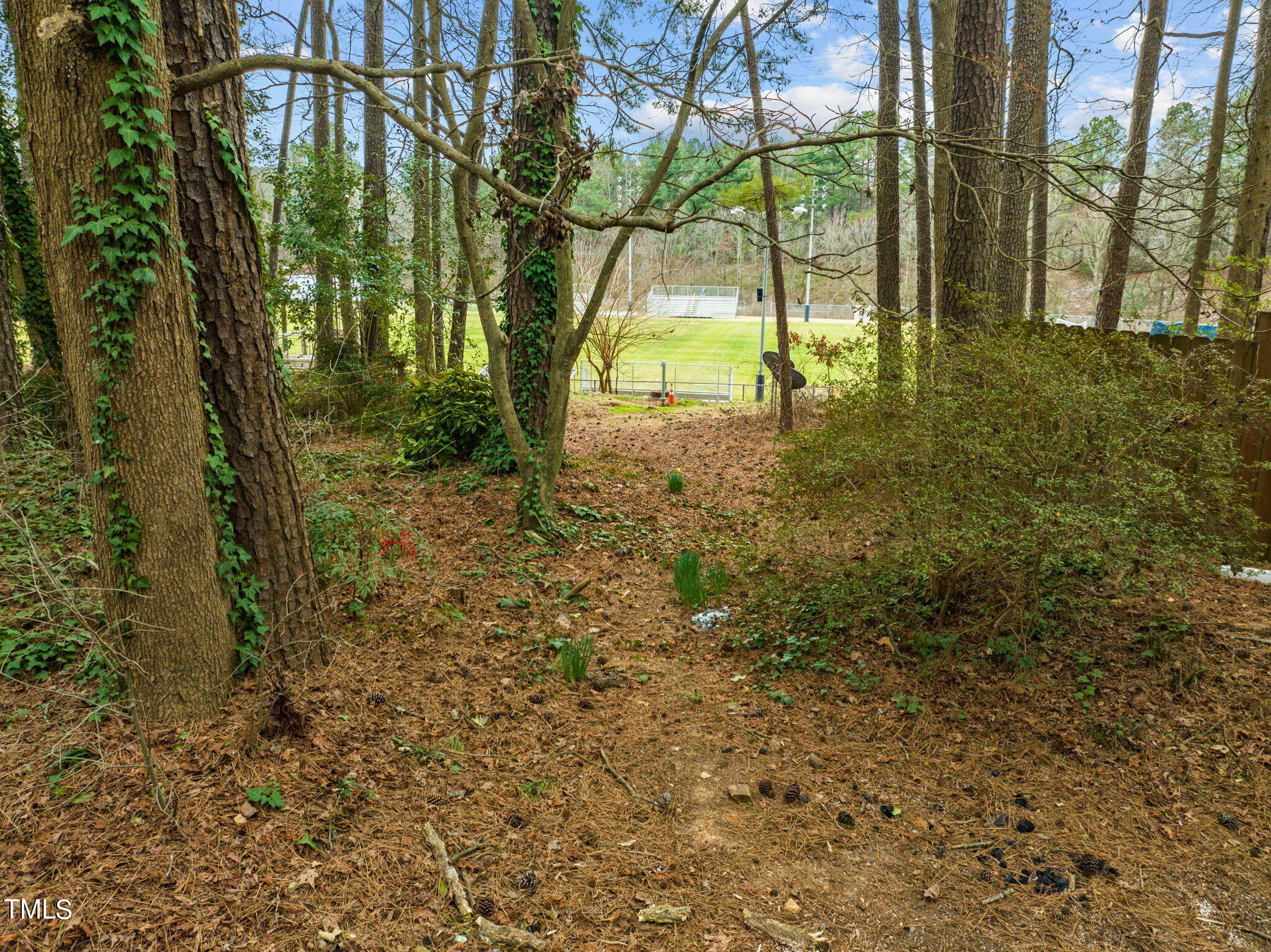 709 Godwin Court Raleigh, NC 27606 - Photo 26 of 31 a view of an outdoor space with a lake view