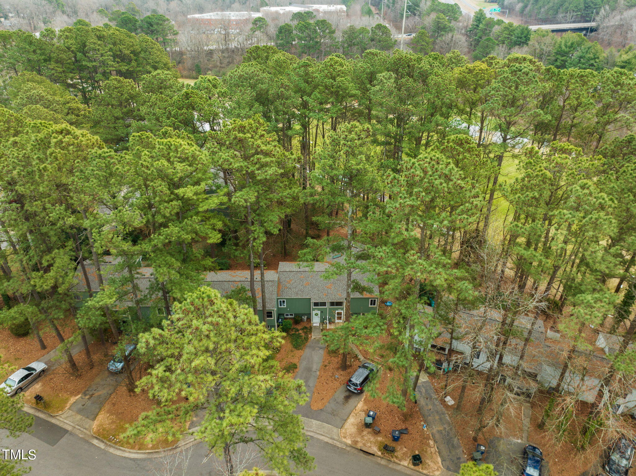 709 Godwin Court Raleigh, NC 27606 - Photo 27 of 31 a view of a yard with plants and large trees