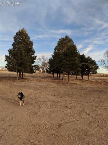 28150 Big Springs Road Calhan, CO 80808 - Photo 10 of 18 Gallery Image 10