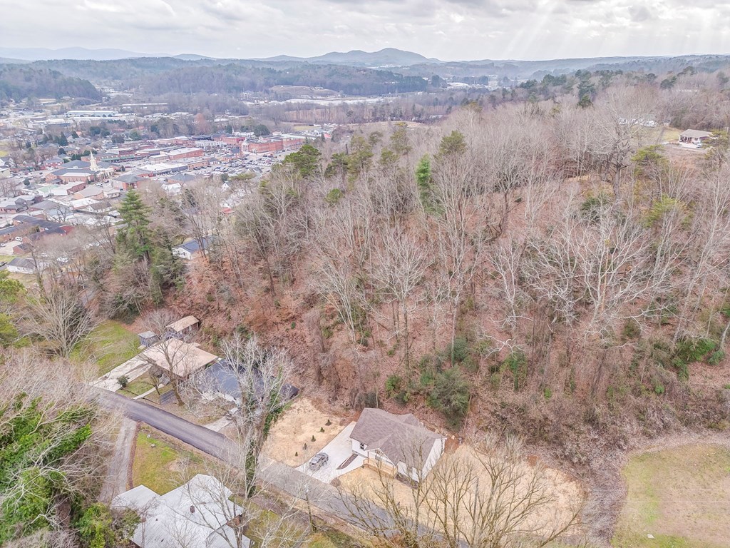 79 Logan Lane Ellijay, GA 30540 - Photo 7 of 56 a view of city and mountain