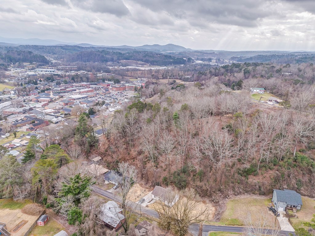 79 Logan Lane Ellijay, GA 30540 - Photo 8 of 56 a view of a city