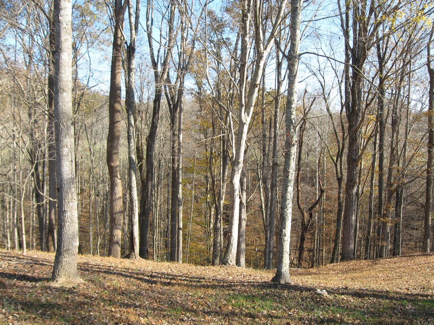 424 Slate Lick Church Road London, KY 40741 - Photo 56 of 74 Photo 58