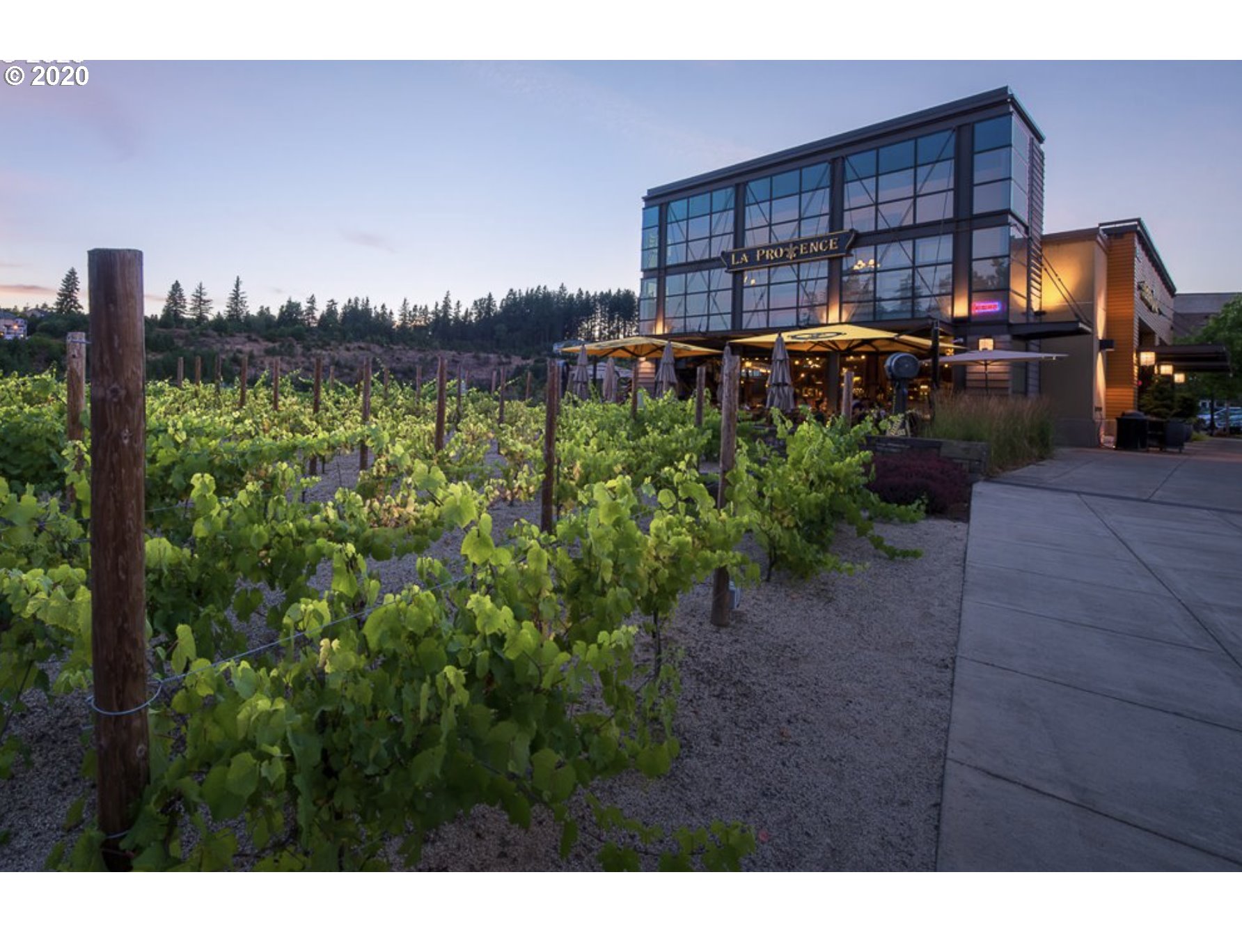 11663 Southwest Auklet Loop Beaverton, OR 97007 - Photo 20 of 25 Gallery Image 20