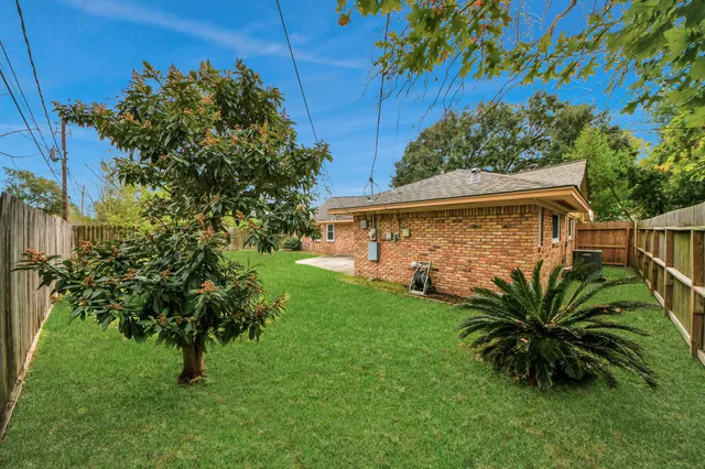 a view of a backyard with plants