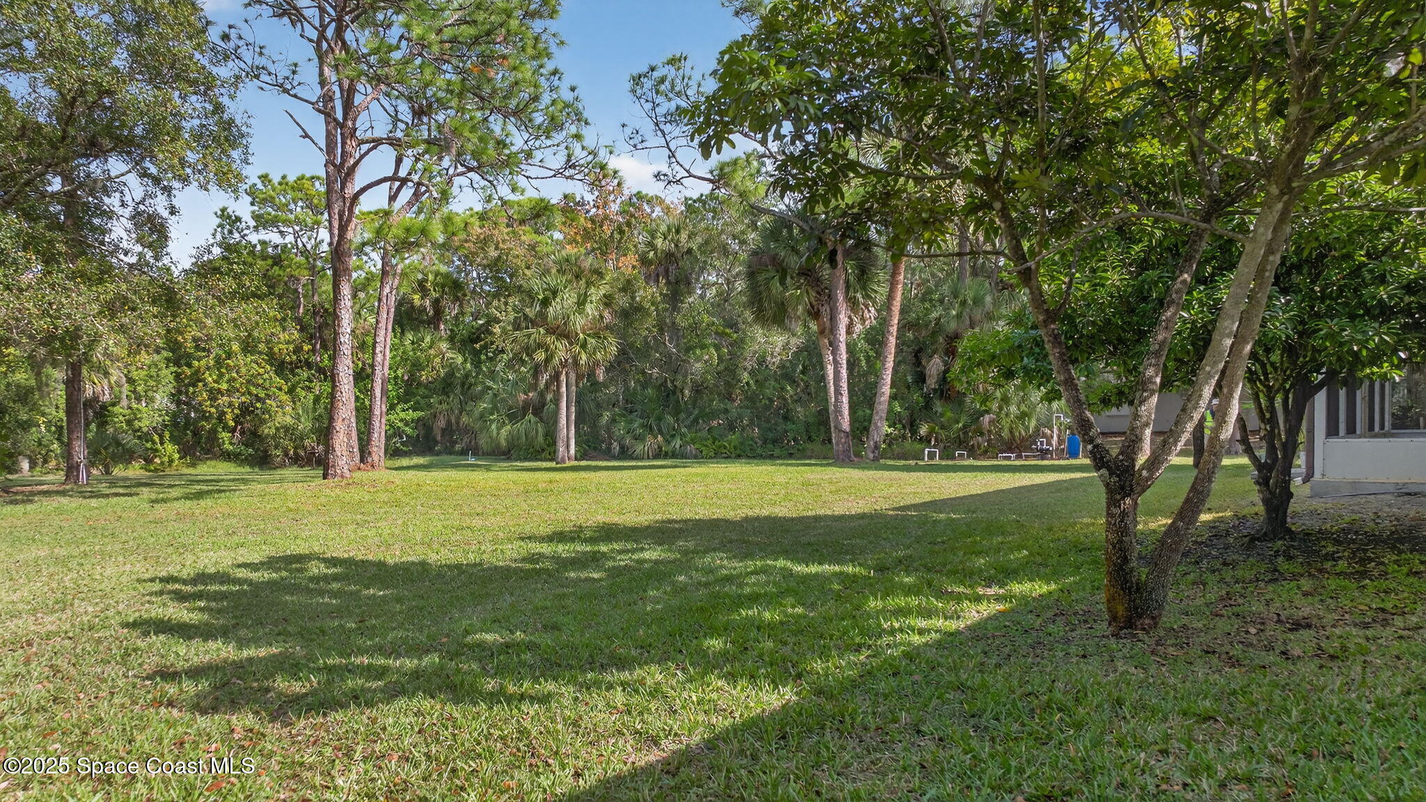 4356 Mustang Road Melbourne, FL 32934 - Photo 11 of 39 Beautiful Backyard