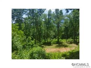 0 Buffalo Ridge Canton, NC 28716 - Photo 6 of 12 a open area with trees in the background