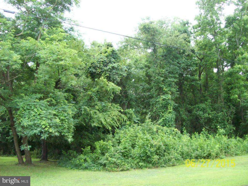 Lot 6 Harrison Road Deal Island, MD 21821 - Photo 14 of 14 Clear and build. High elevations
