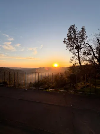 a view of a room with wooden floor and windows