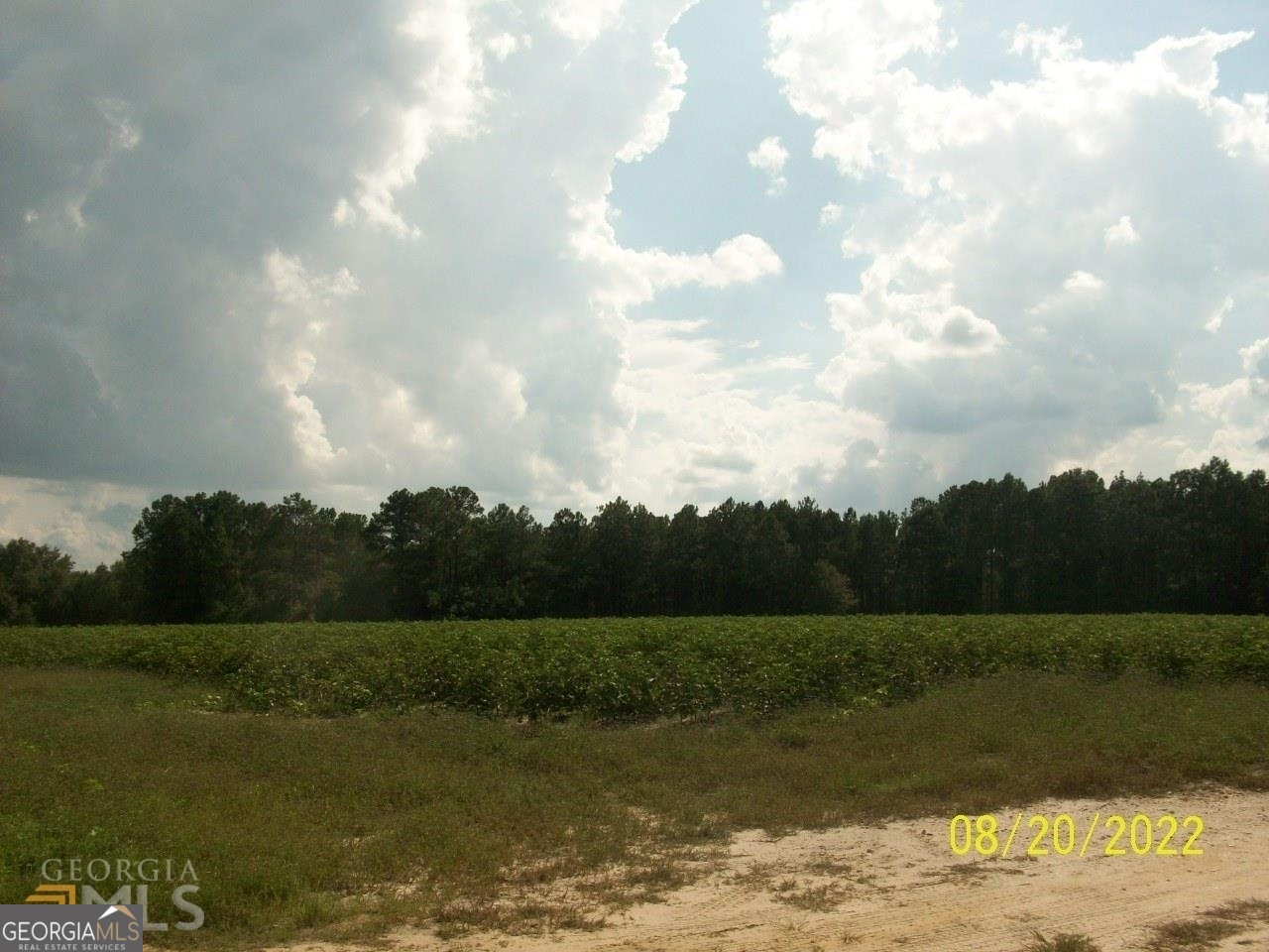 650 Tom Howard Farm Road Vienna, GA 31092 - Photo 11 of 13 a view of a lake with a big yard