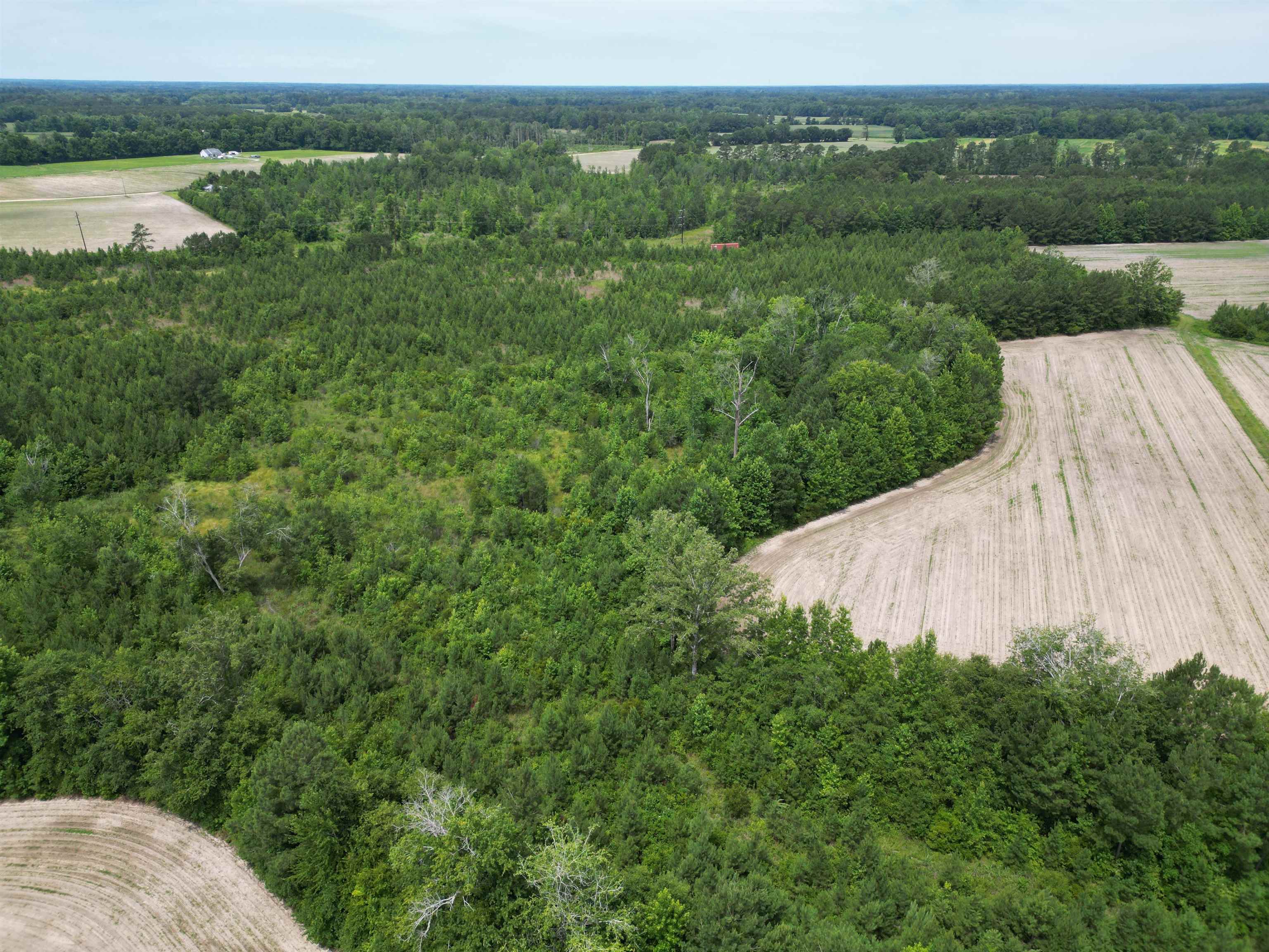 Tbd Church Road Green Sea, SC 29545 - Photo 13 of 19