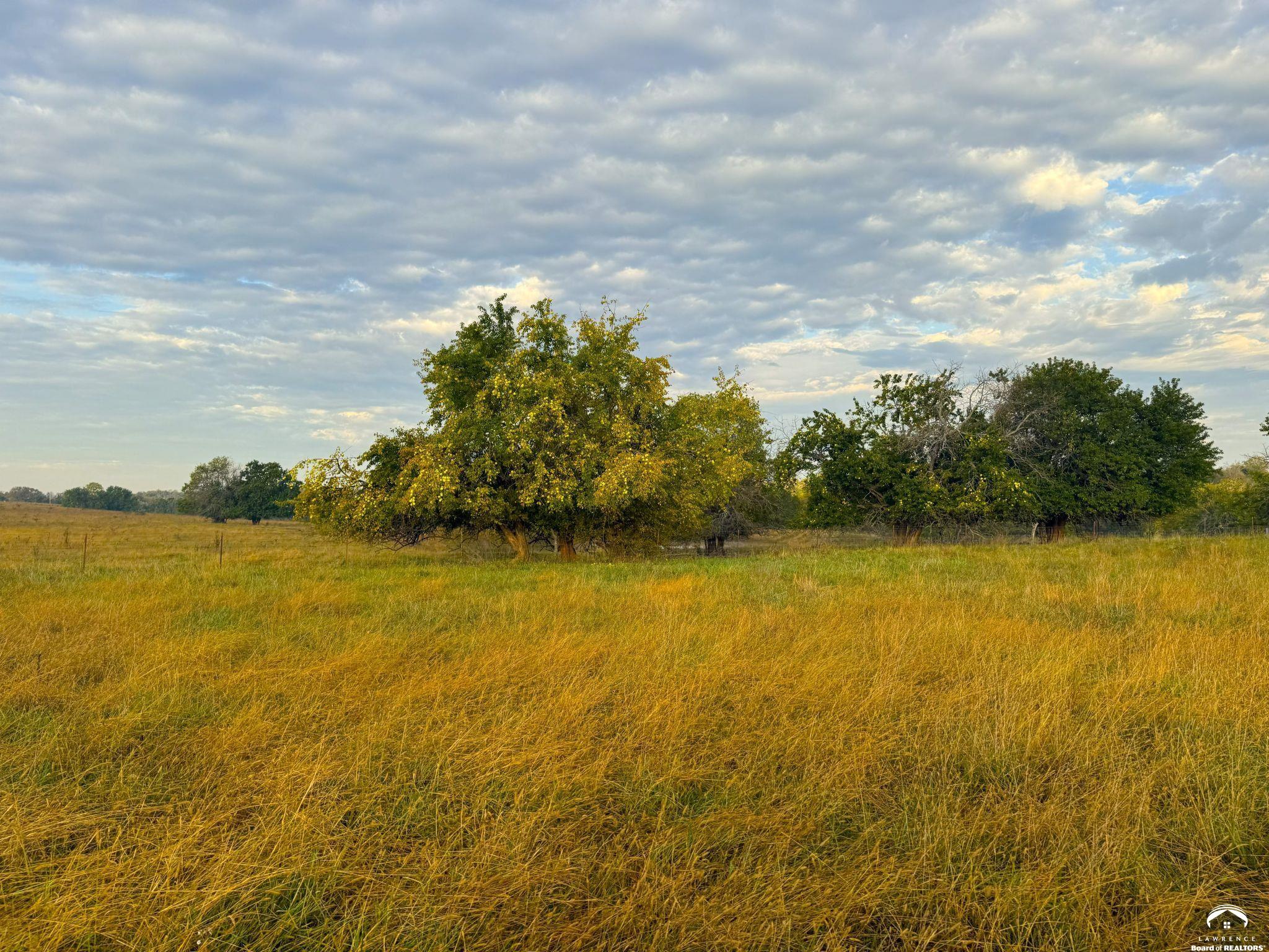 134 North 1150 Road Berryton, KS 66409 - Photo 16 of 25