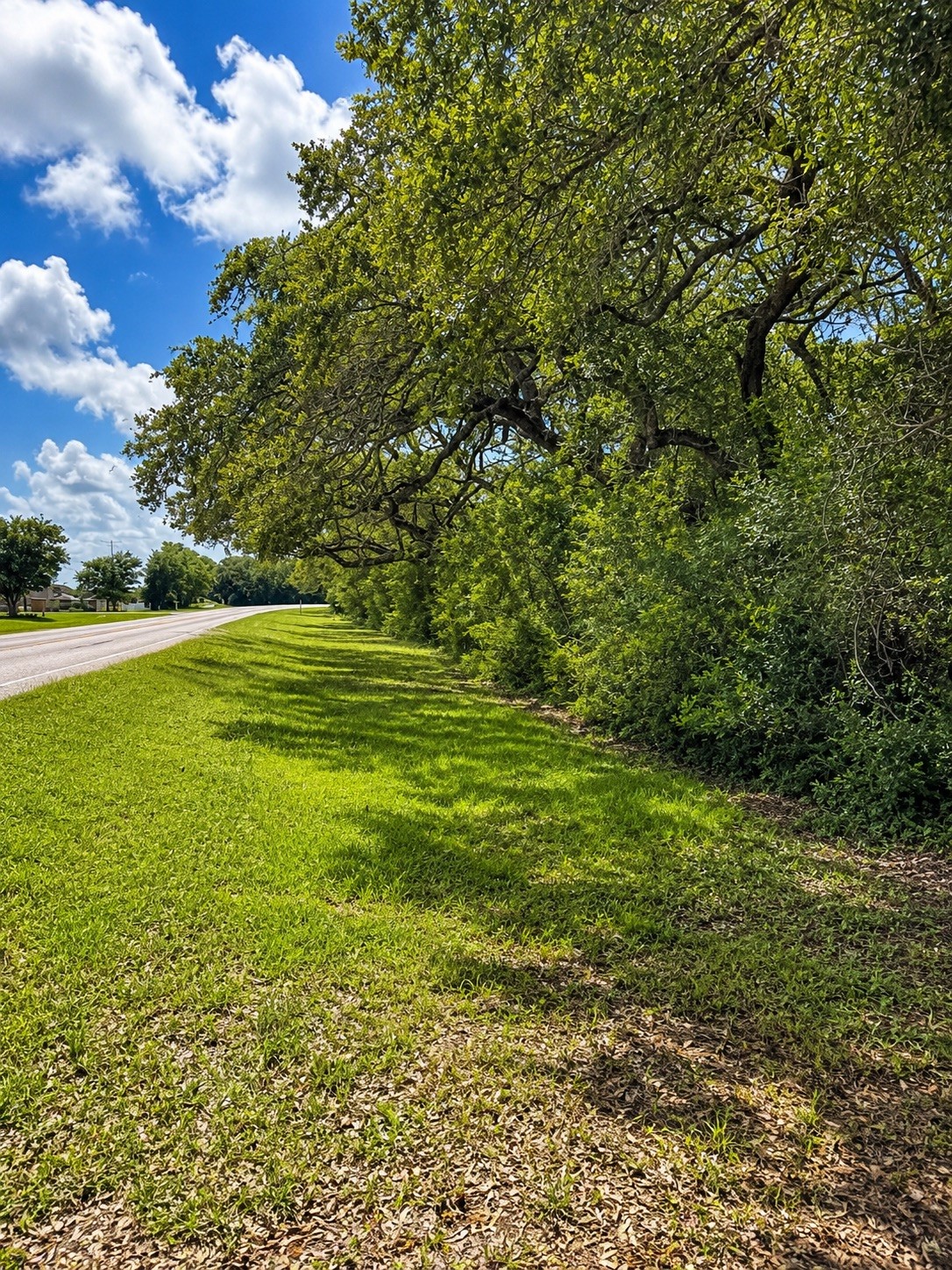 0 Fm 2853 Perry Reed Pybus Pasture Bay City, TX 77414 - Photo 1 of 8