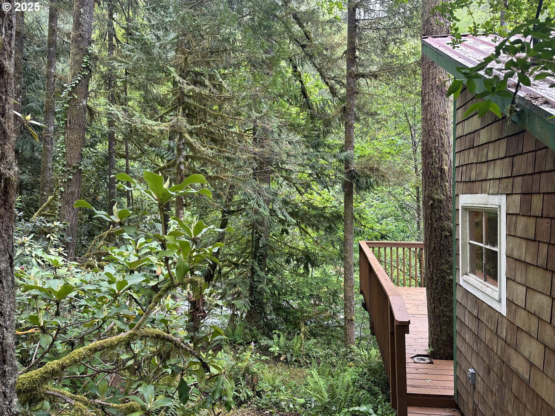 26101 Northeast Lucia Falls Road Yacolt, WA 98675 - Photo 19 of 33 Deck