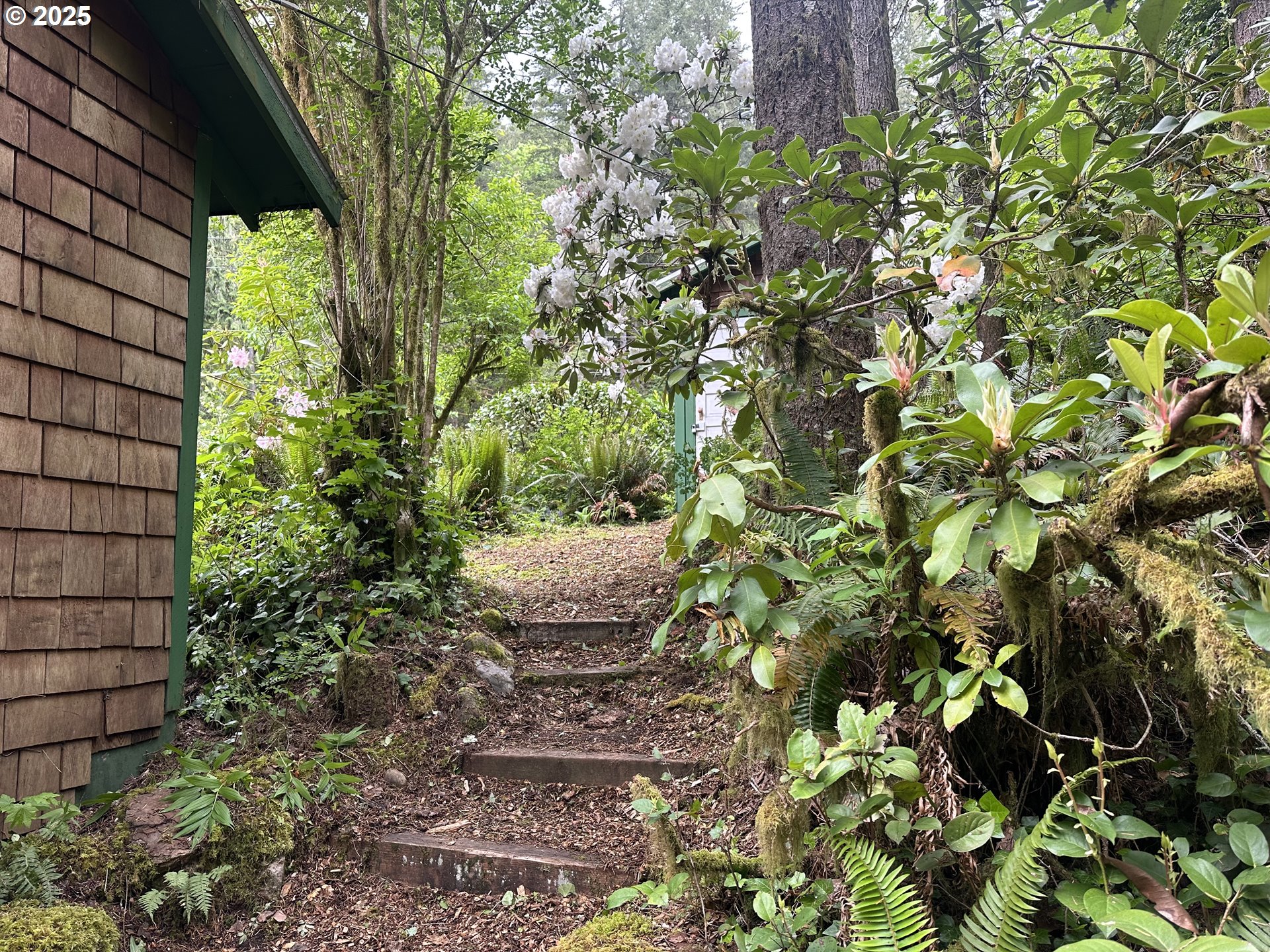 26101 Northeast Lucia Falls Road Yacolt, WA 98675 - Photo 20 of 33 Yard