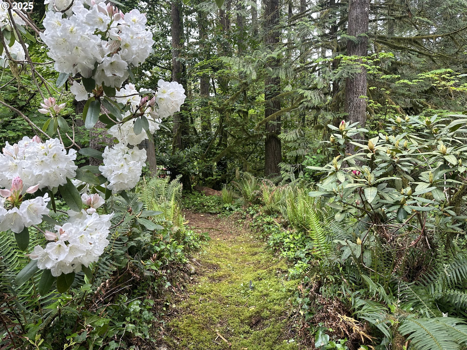 26101 Northeast Lucia Falls Road Yacolt, WA 98675 - Photo 23 of 33 River Access