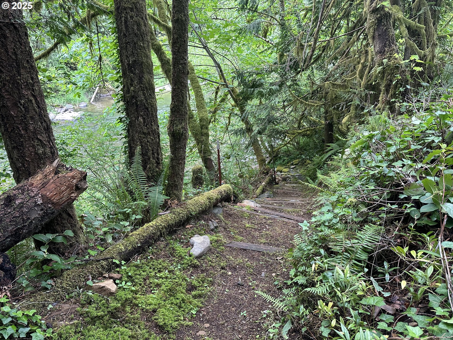 26101 Northeast Lucia Falls Road Yacolt, WA 98675 - Photo 24 of 33 River Access