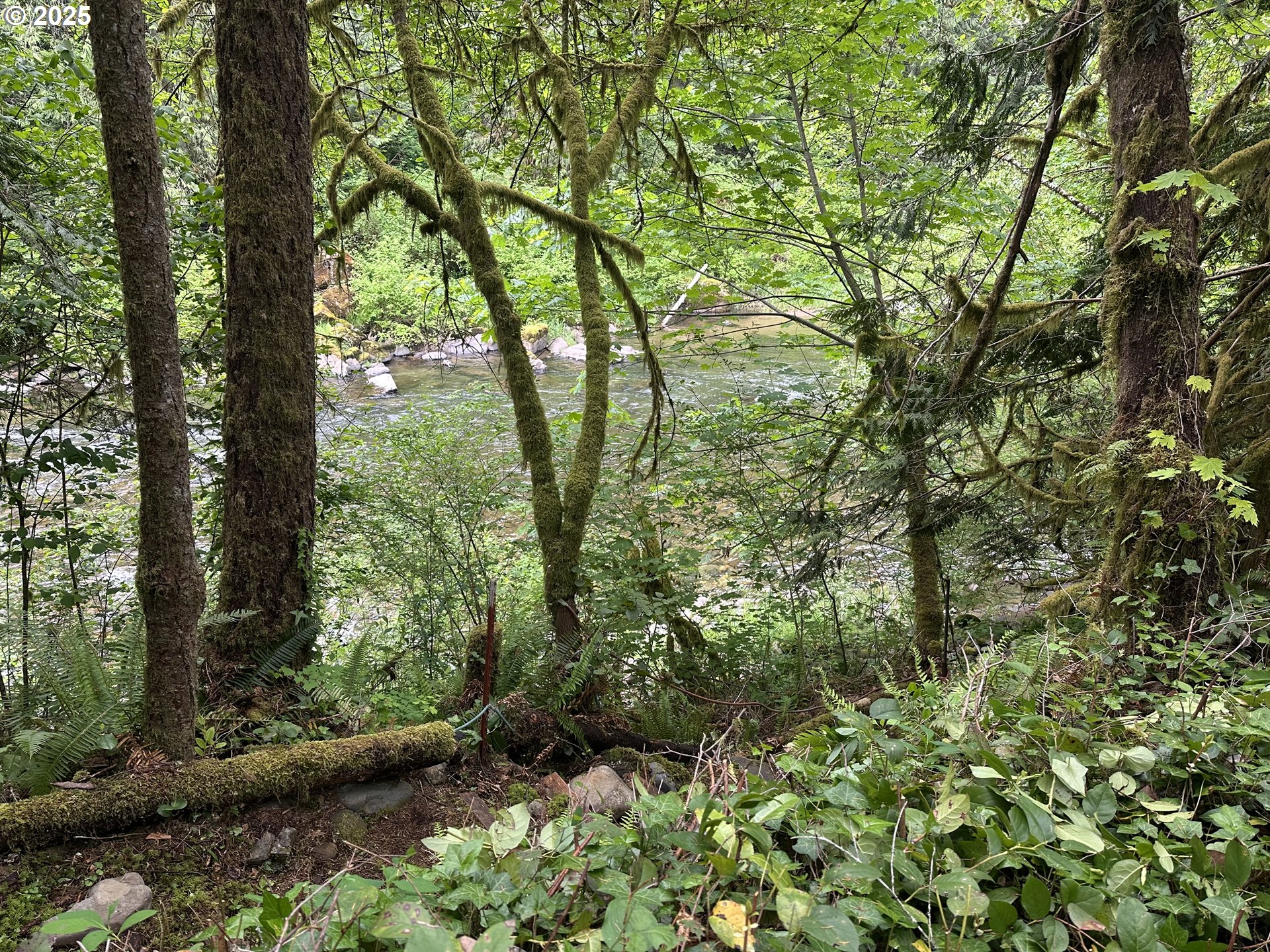 26101 Northeast Lucia Falls Road Yacolt, WA 98675 - Photo 25 of 33 River Access