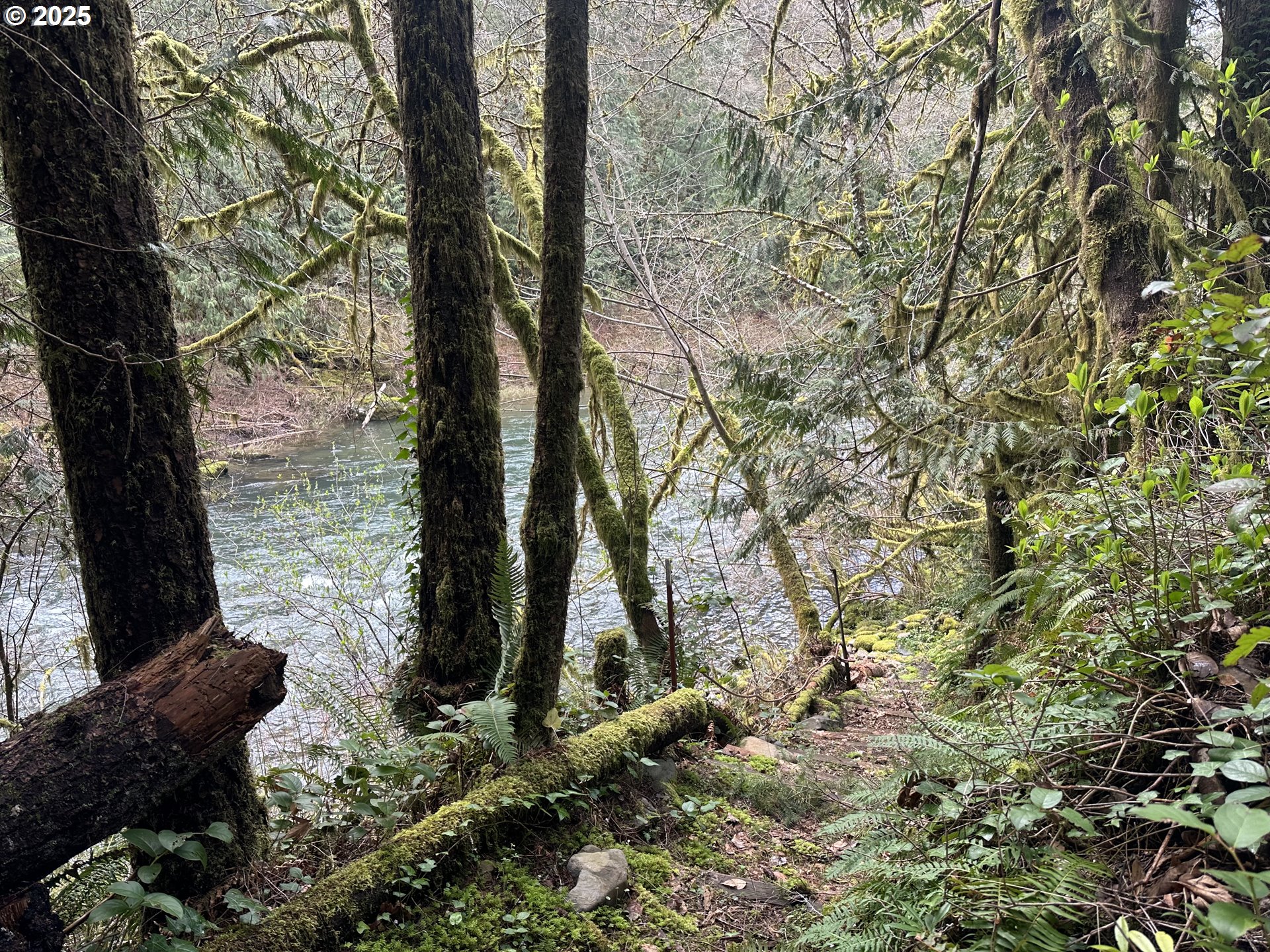 26101 Northeast Lucia Falls Road Yacolt, WA 98675 - Photo 26 of 33 River Access