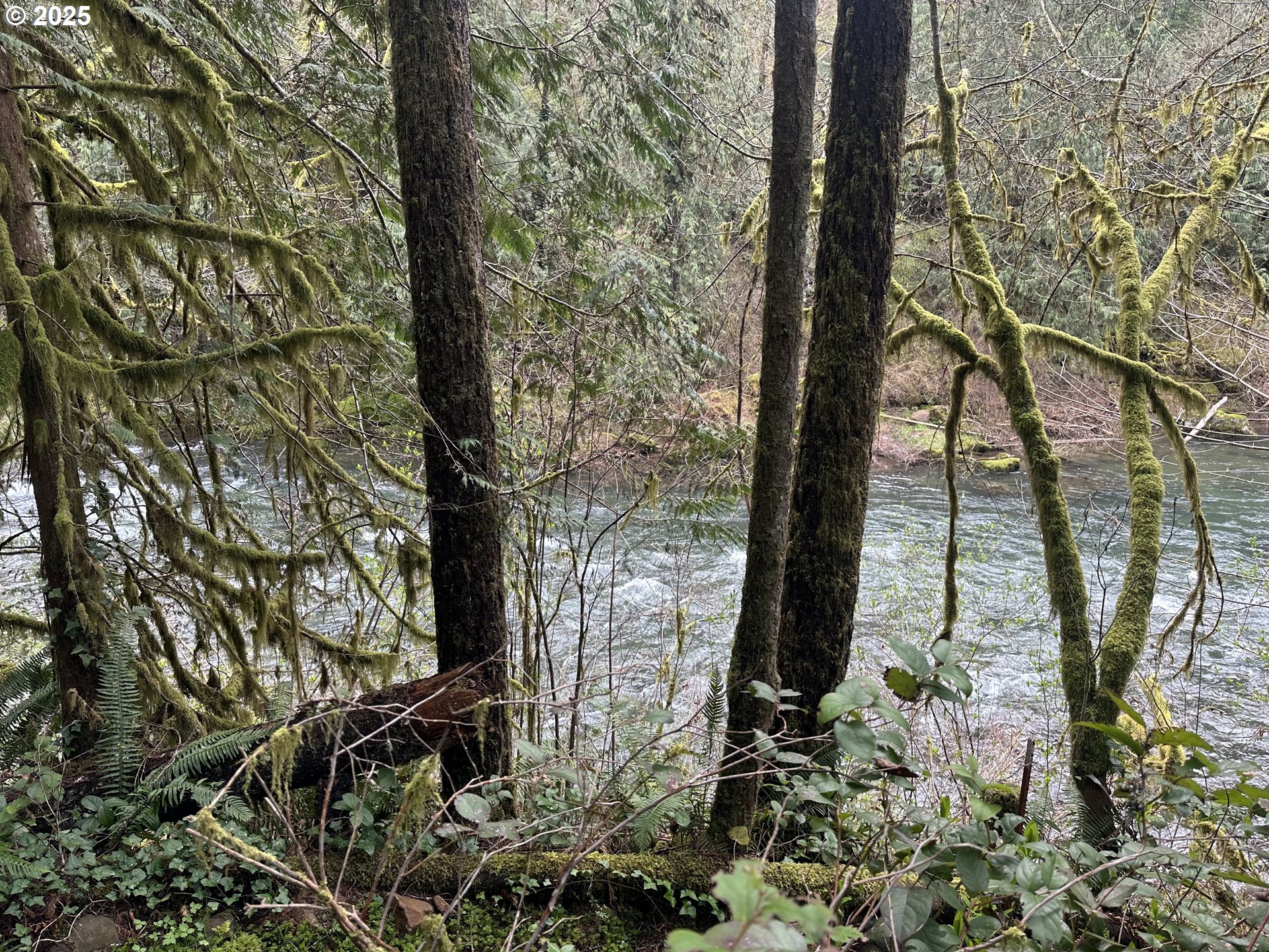 26101 Northeast Lucia Falls Road Yacolt, WA 98675 - Photo 27 of 33 River Access