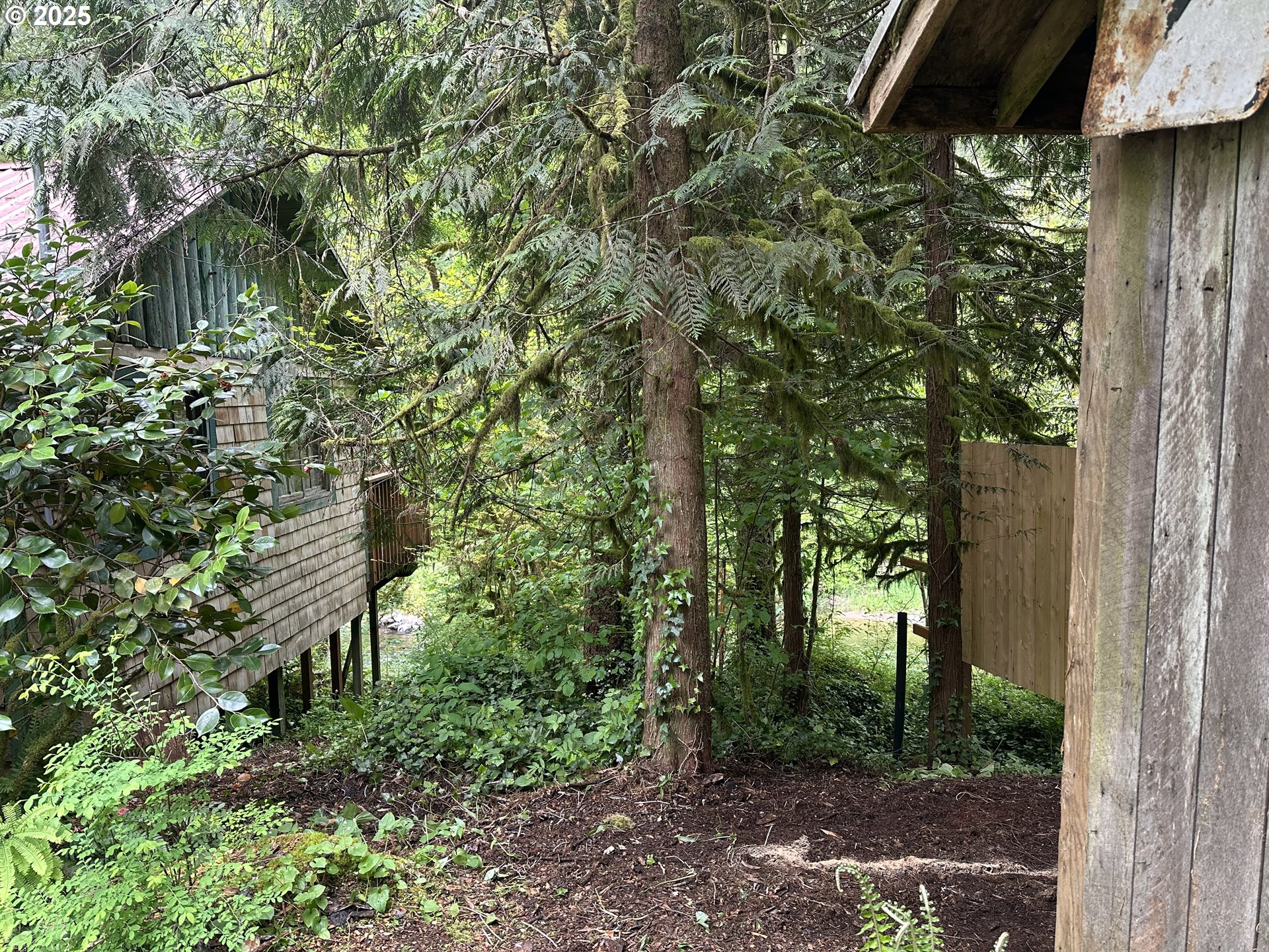 26101 Northeast Lucia Falls Road Yacolt, WA 98675 - Photo 31 of 33 Yard