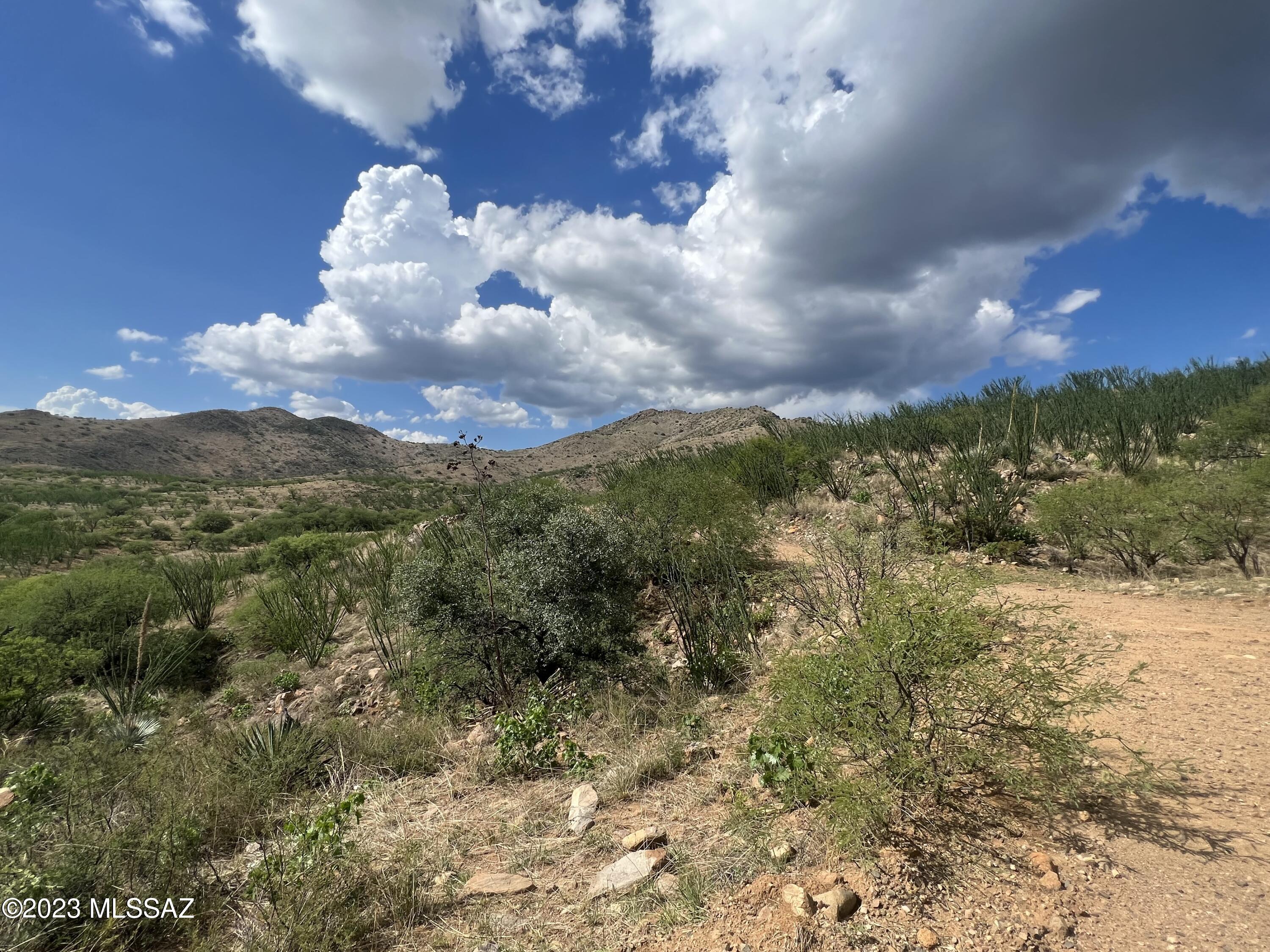 Tbd Tbd Rock Mountain, Unit 98 Rio Rico, AZ 85648 - Photo 2 of 7