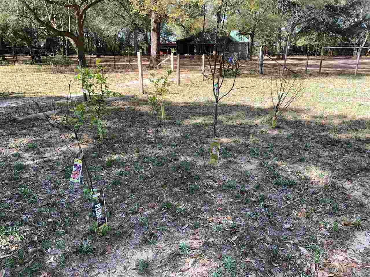 6563 Warren Road Milton, FL 32583 - Photo 10 of 35 Gallery Image 10