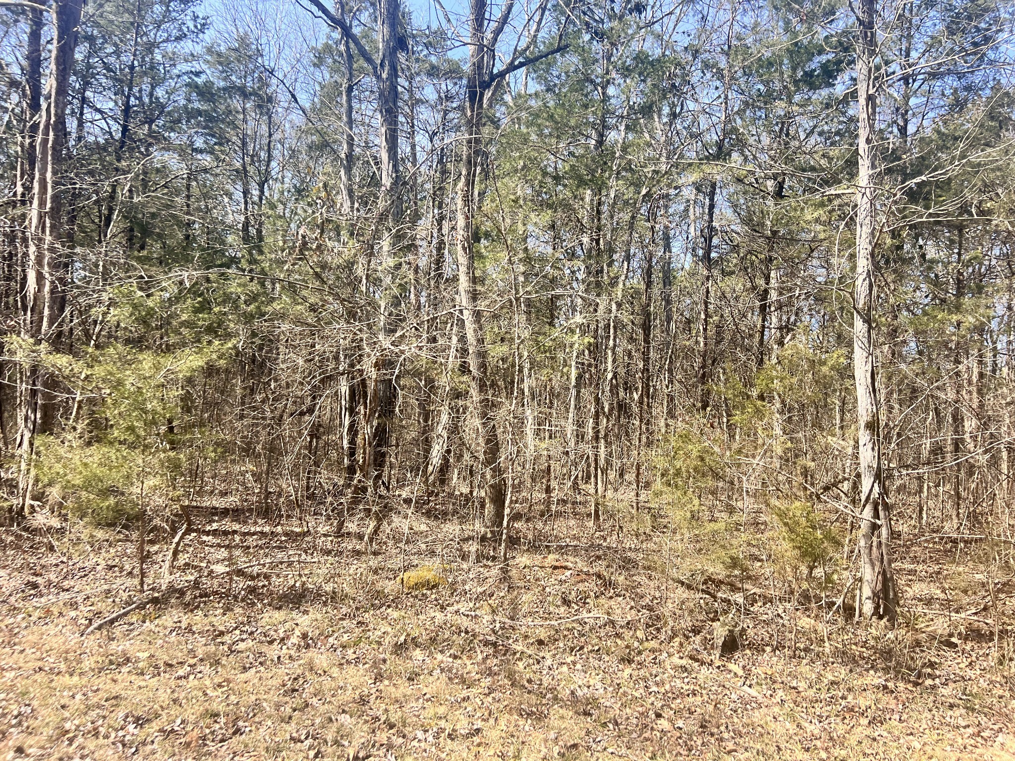 3 Browns Mill Road Lascassas, TN 37085 - Photo 7 of 8 Gallery Image 7