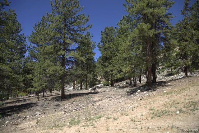 $174,000 | 426 Parry Peak, Twin Lakes, CO 81251