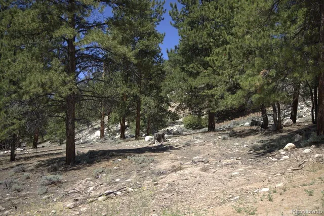 $174,000 | 426 Parry Peak, Twin Lakes, CO 81251