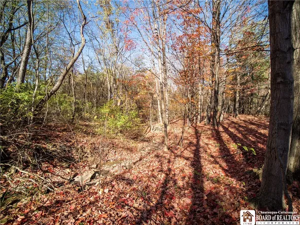 $39,900 | Stone Road West, Pomfret, NY 14063