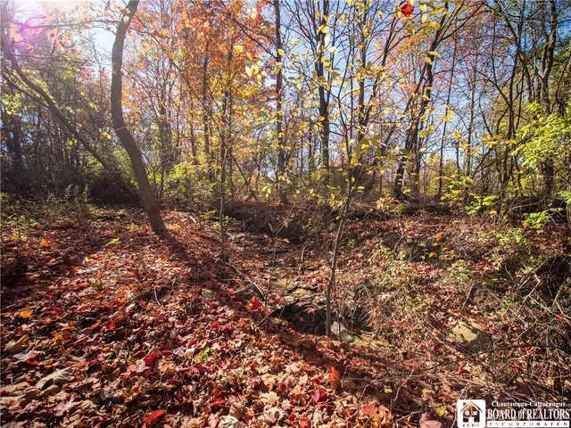 $39,900 | Stone Road West, Pomfret, NY 14063