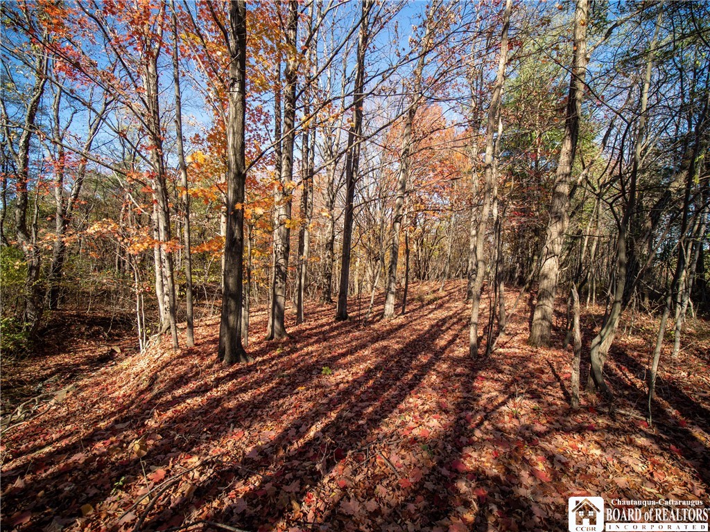 Stone Road West Pomfret, NY 14063 - Photo 8 of 8