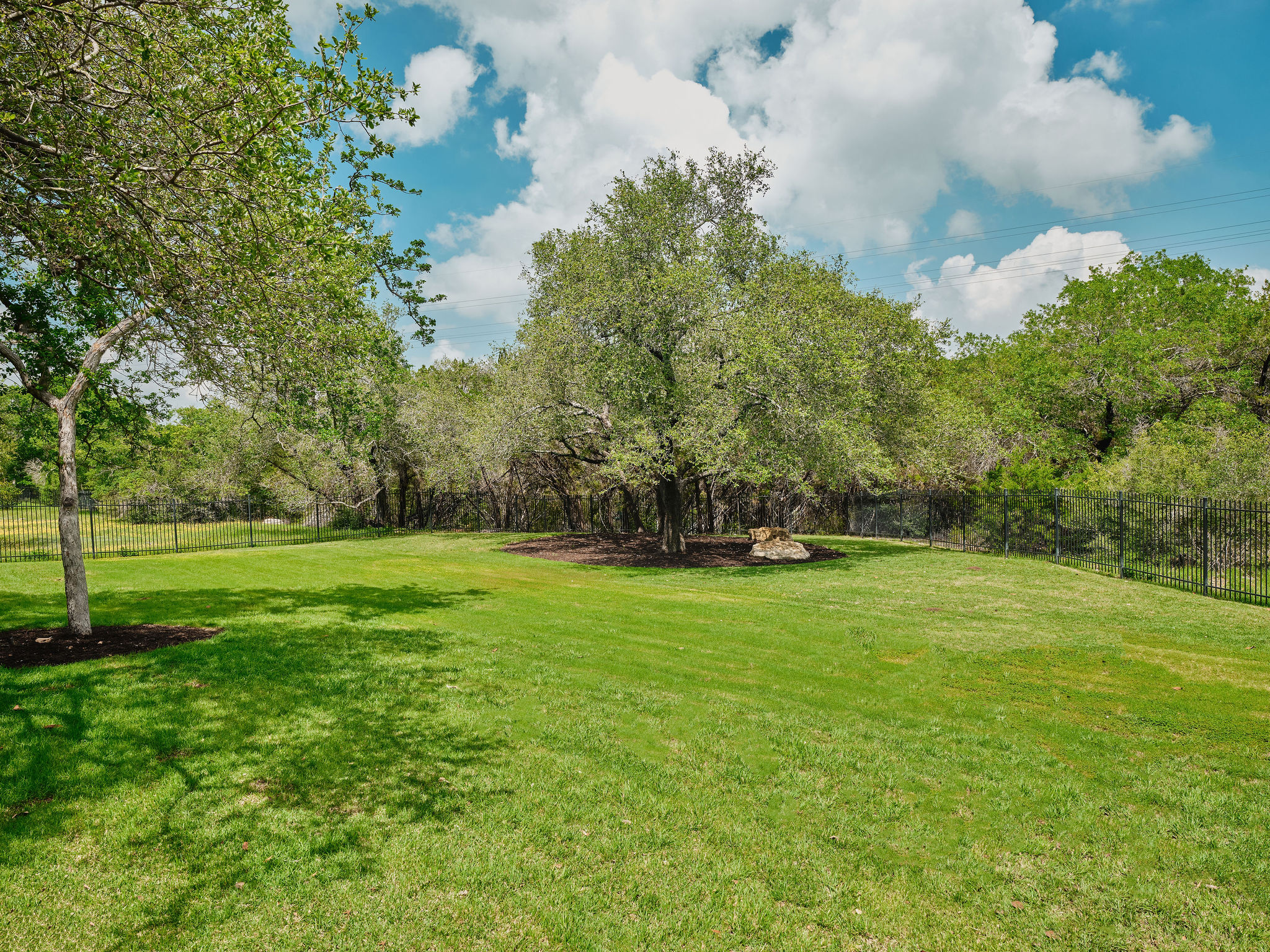 433 Brandon Way Austin, TX 78733 - Photo 37 of 40 A verdant, open yard is bordered by mature trees and a sturdy fence.