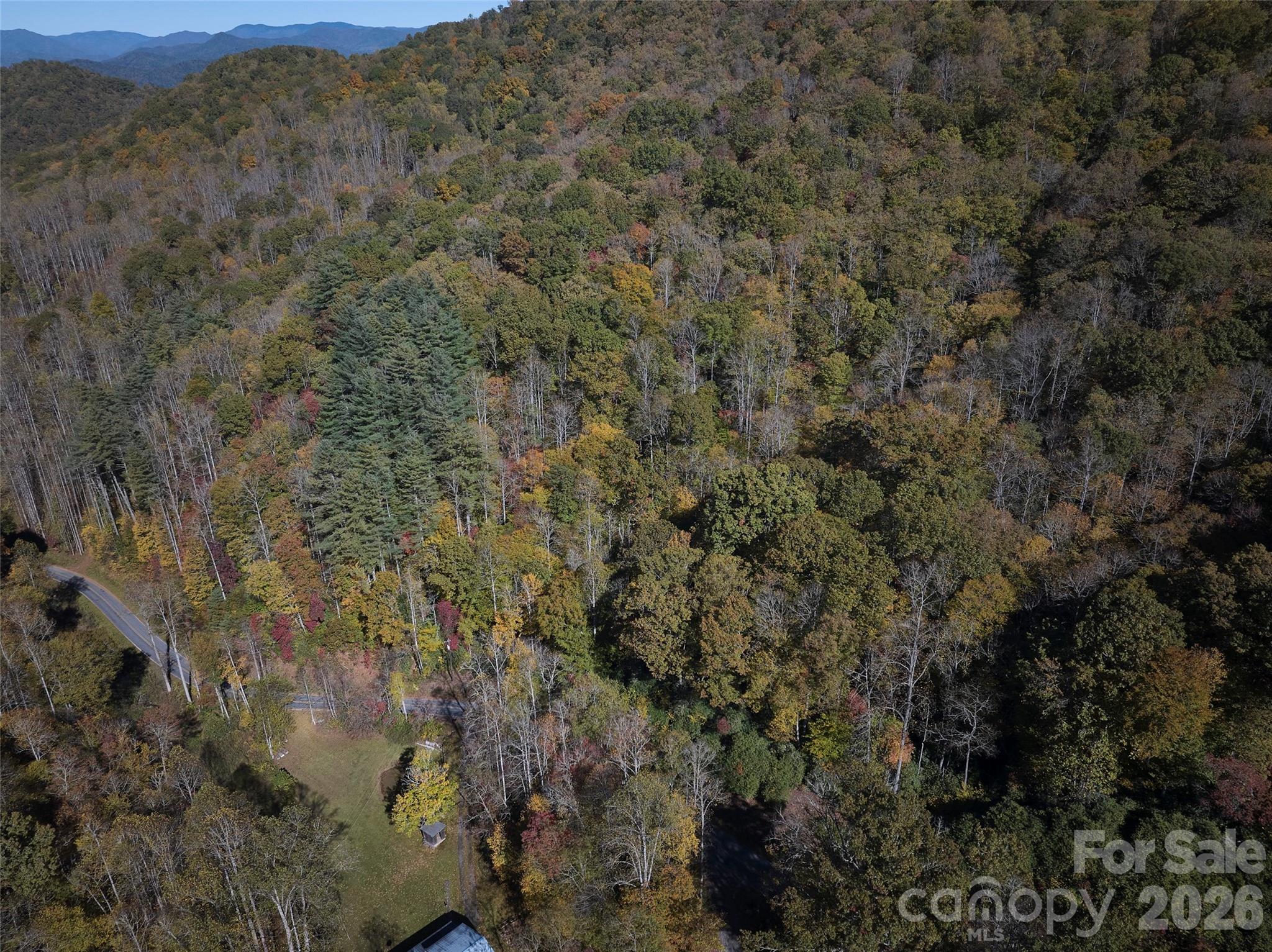 0 Treehouse Road Whittier, NC 28789 - Photo 1 of 13
