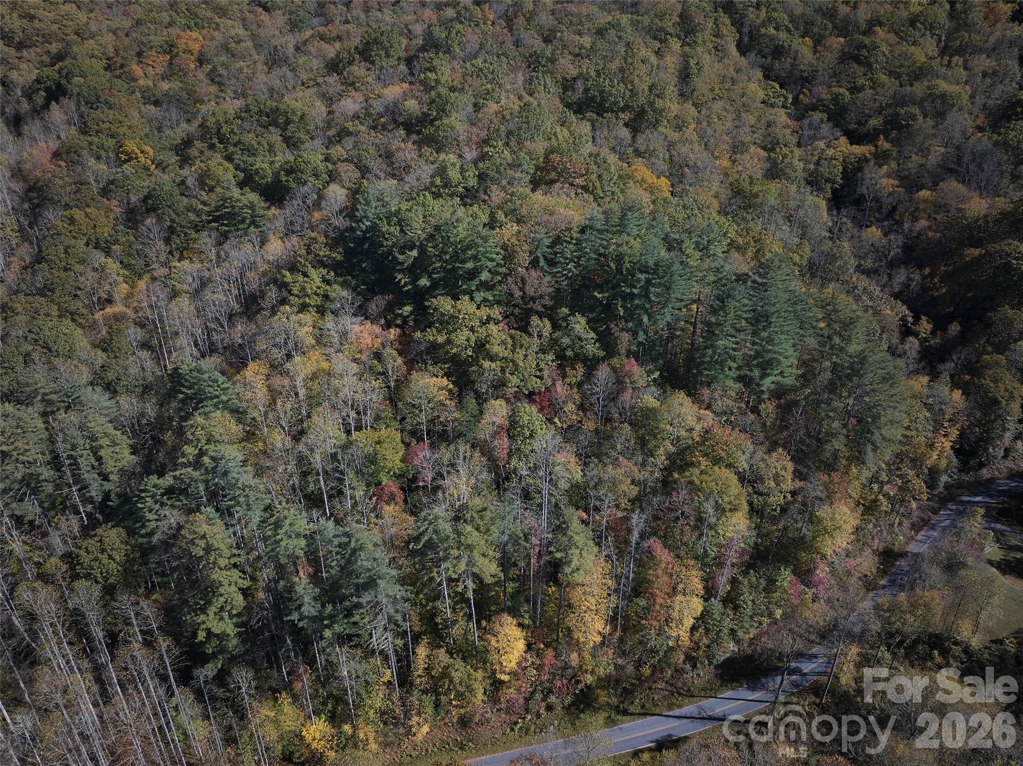 0 Treehouse Road Whittier, NC 28789 - Photo 11 of 13