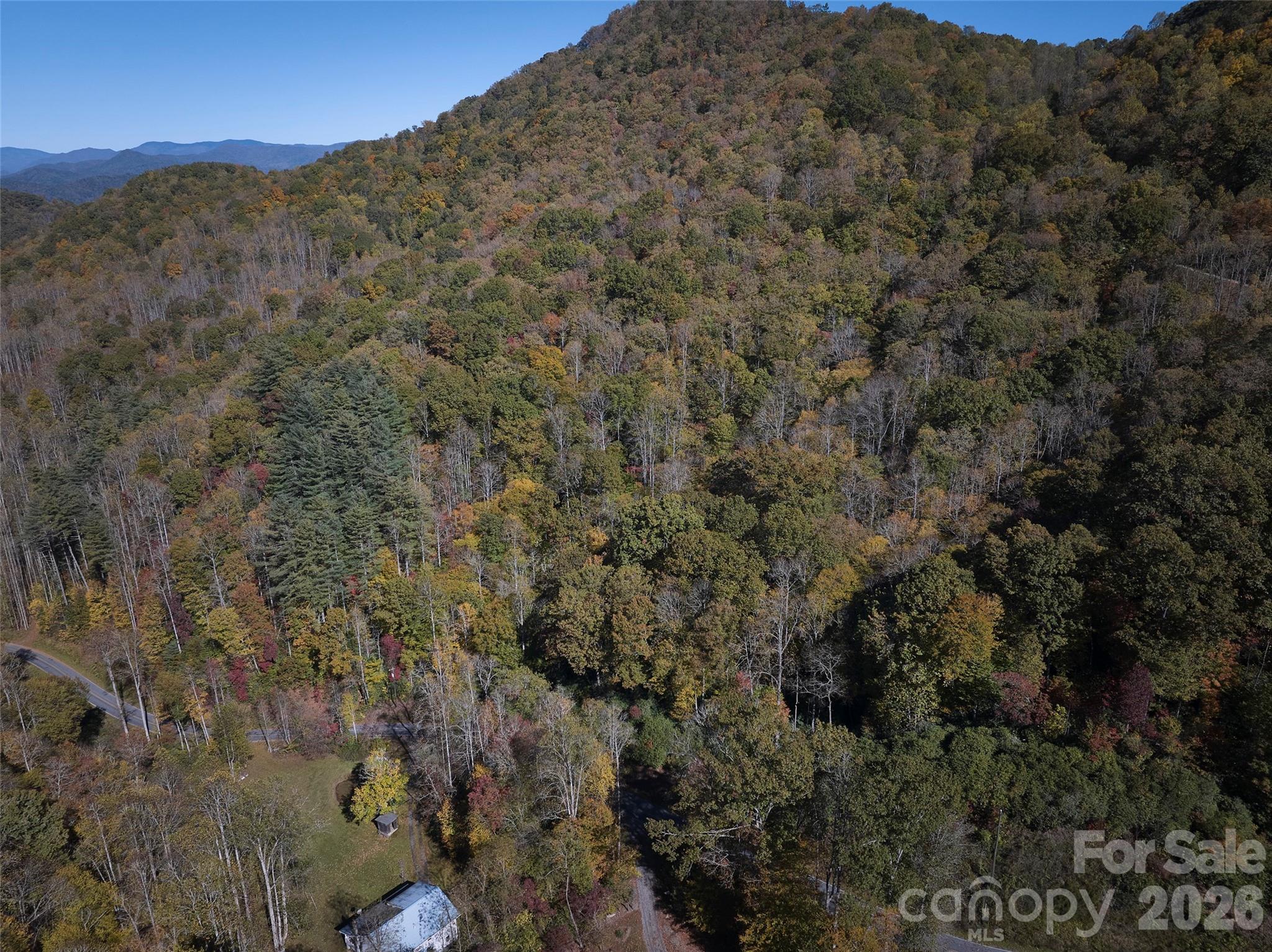 0 Treehouse Road Whittier, NC 28789 - Photo 2 of 13