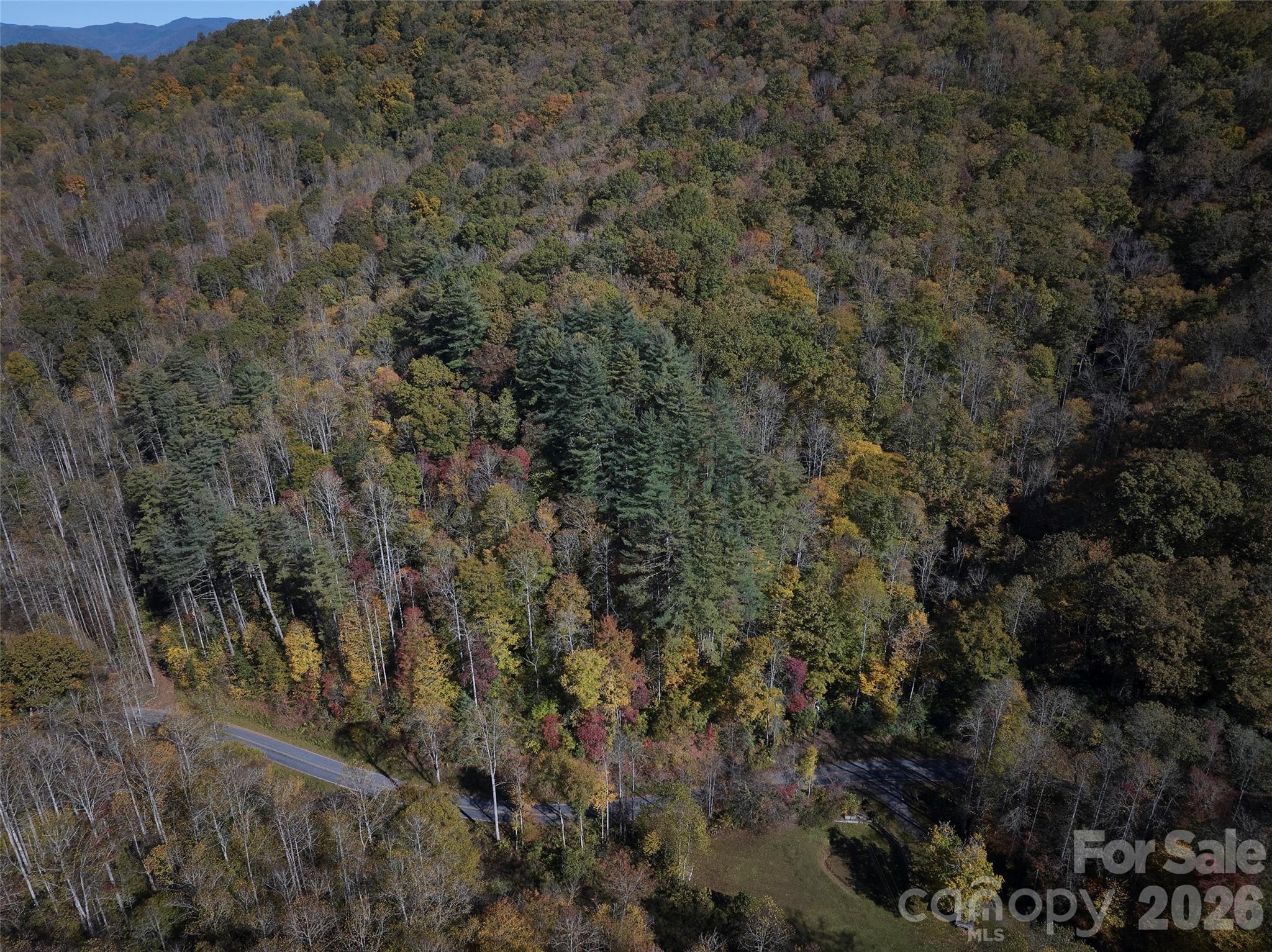 0 Treehouse Road Whittier, NC 28789 - Photo 4 of 13