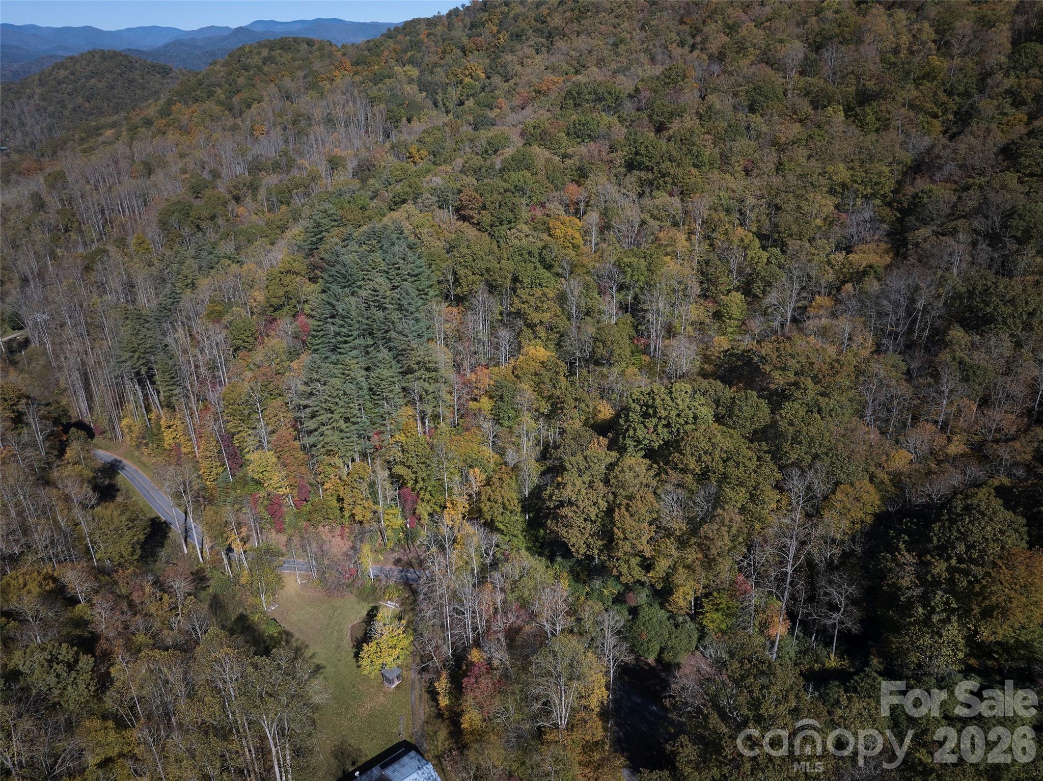 0 Treehouse Road Whittier, NC 28789 - Photo 5 of 13